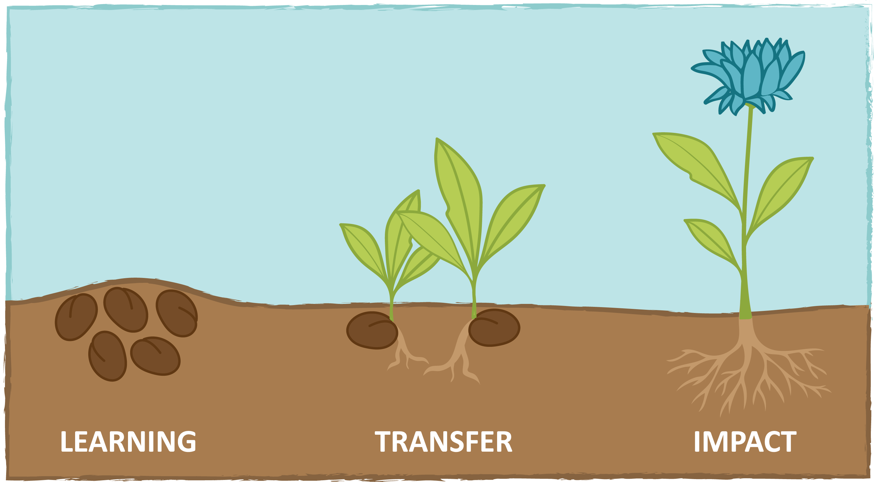 Learning - Transfer - Impact
