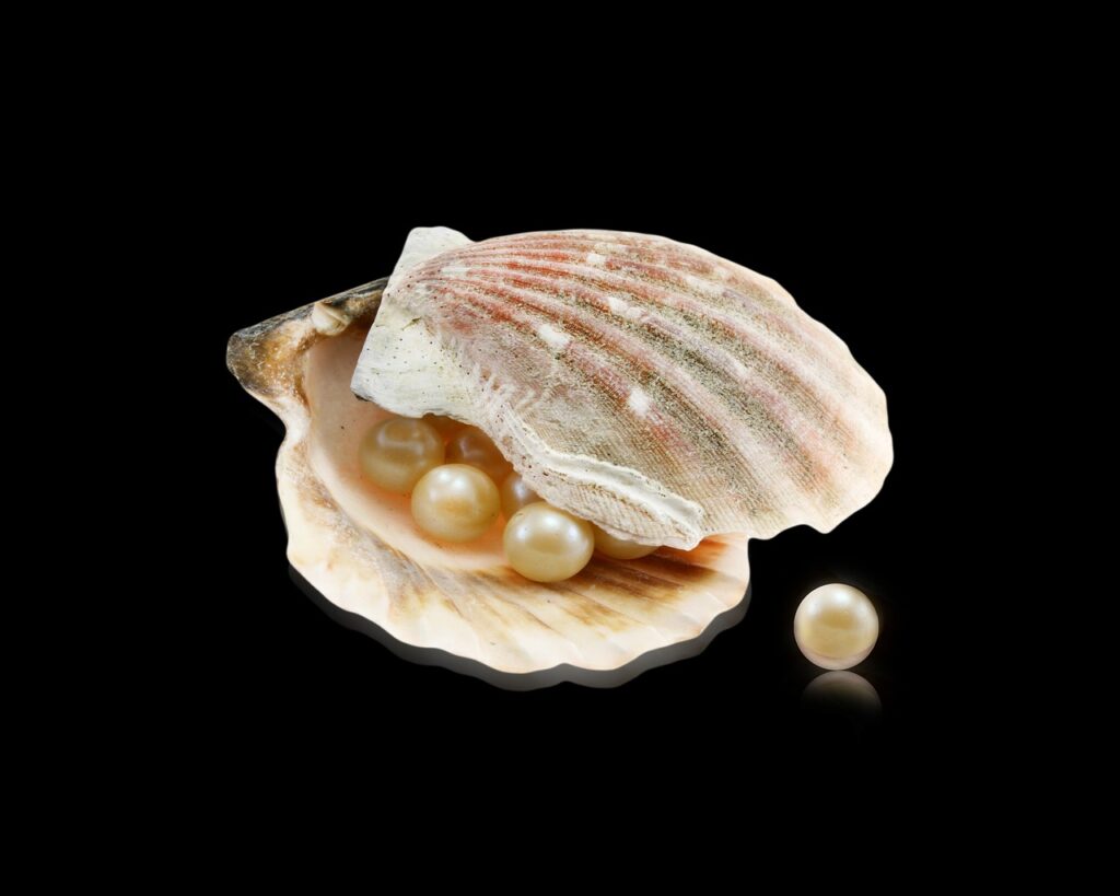 https://pixabay.com/photos/oyster-pearls-seashells-pearl-5006336/