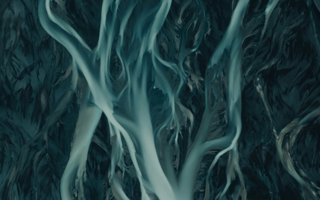 Freedom Paves the Way to Learning